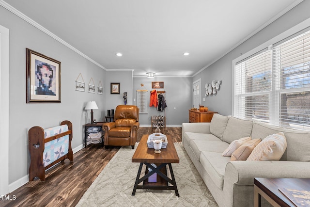 living room featuring crown molding and dark wood-type flooring