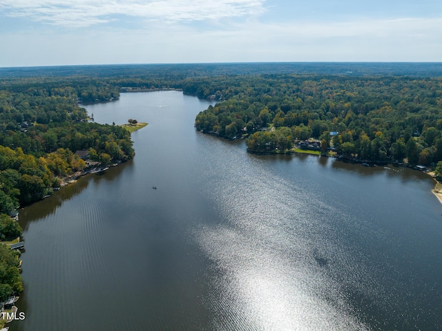 bird's eye view featuring a forest view and a water view