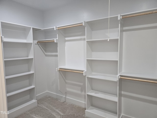 spacious closet featuring carpet flooring