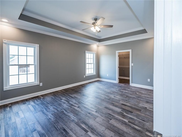 unfurnished room with a raised ceiling, ceiling fan, and plenty of natural light