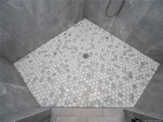 interior details with walk in shower