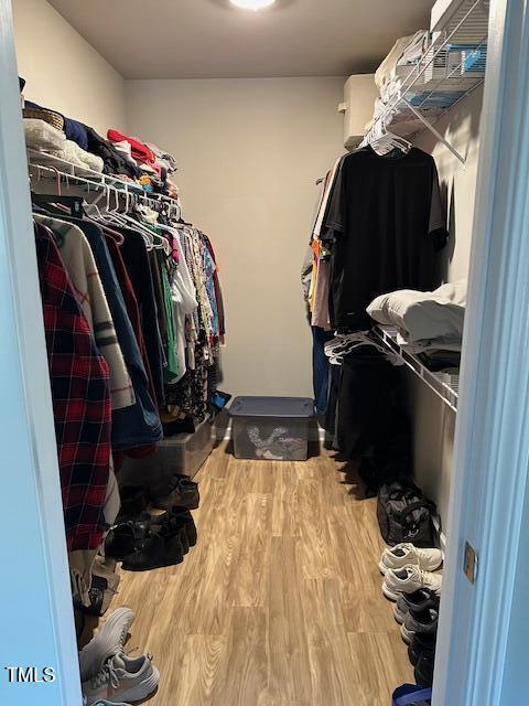 spacious closet with hardwood / wood-style flooring