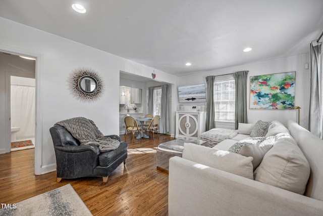 living room featuring hardwood / wood-style flooring