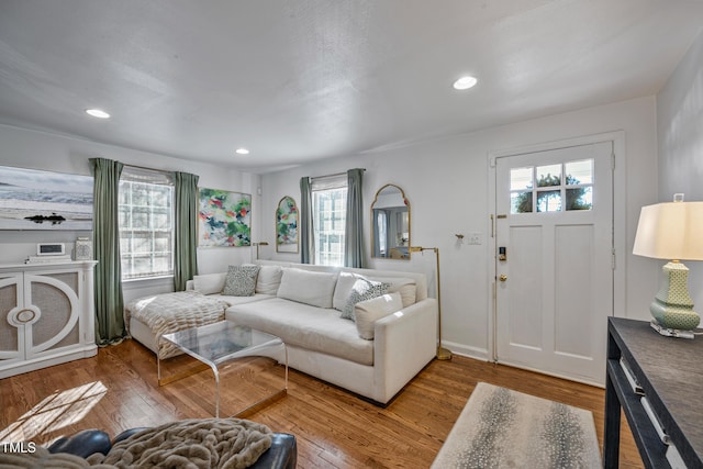 living room with hardwood / wood-style floors