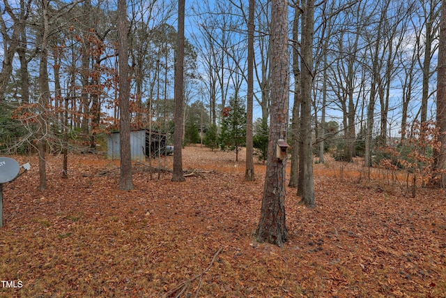 view of yard featuring an outbuilding