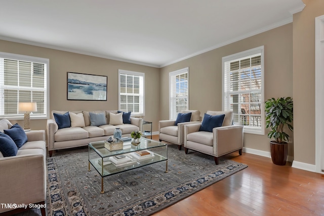 living room featuring crown molding and hardwood / wood-style floors