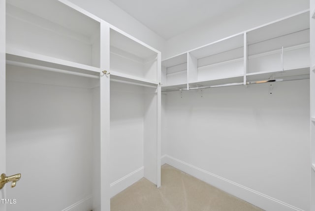 spacious closet with carpet floors