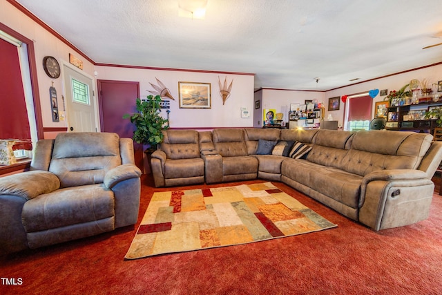 living room with carpet flooring and crown molding