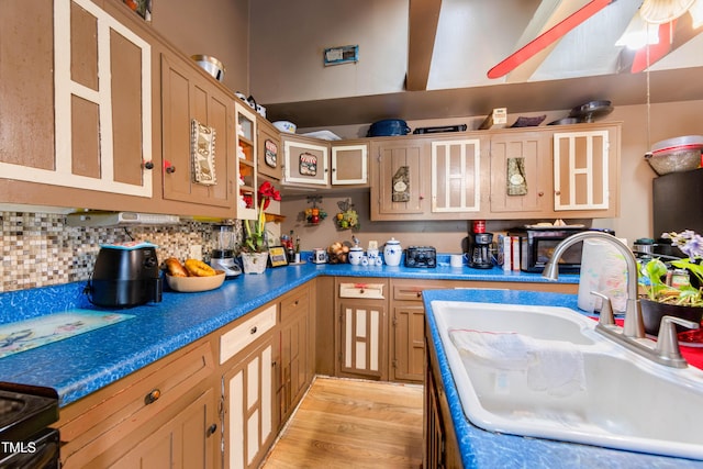 kitchen featuring decorative backsplash, sink, and light hardwood / wood-style flooring