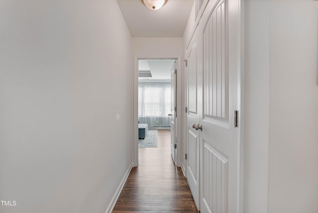 hall featuring dark hardwood / wood-style flooring