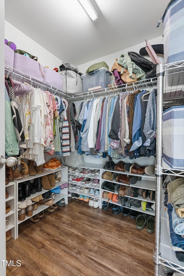 walk in closet with wood-type flooring