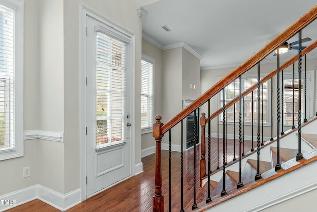 entryway with a wealth of natural light, hardwood / wood-style flooring, ceiling fan, and ornamental molding