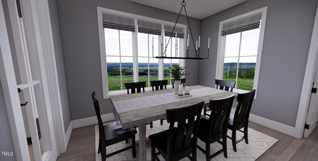 dining room featuring wood-type flooring