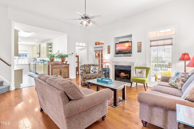 living room with ceiling fan and light hardwood / wood-style floors