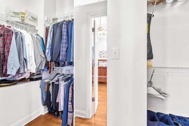 spacious closet with hardwood / wood-style flooring