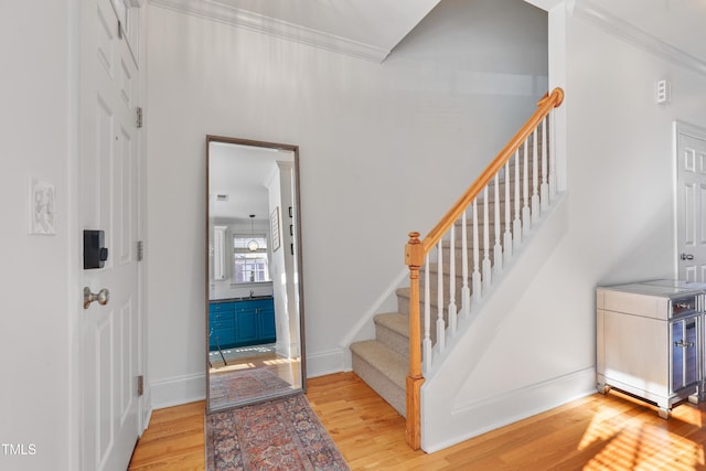 entryway with crown molding and light hardwood / wood-style flooring