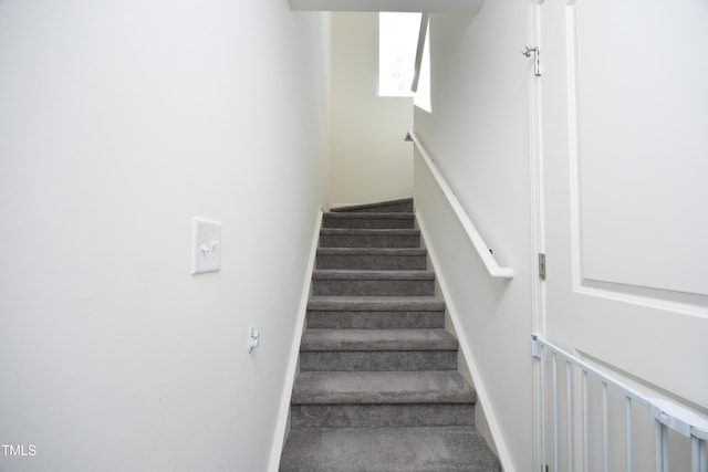 stairs featuring carpet