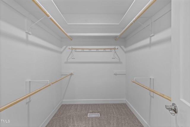 walk in closet featuring carpet floors