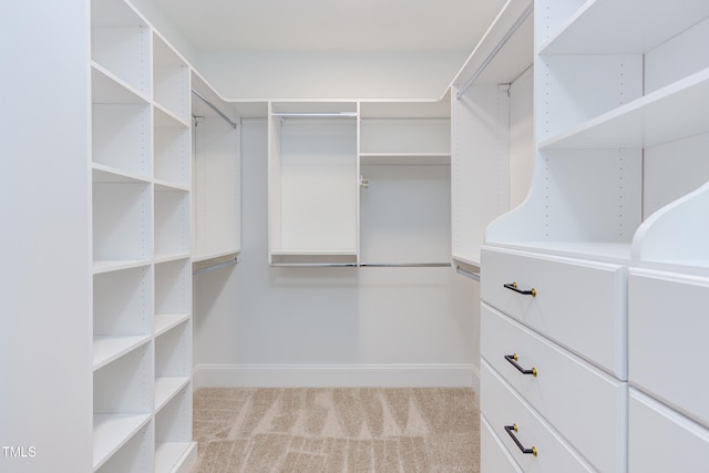 walk in closet with light carpet