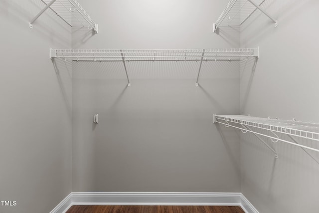 spacious closet featuring dark wood-type flooring