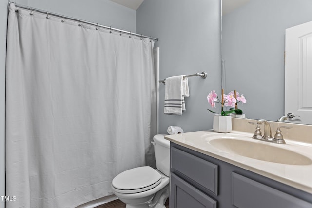 bathroom with toilet and vanity