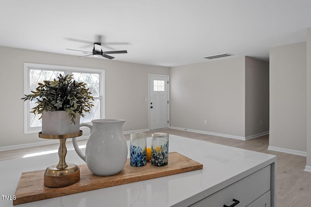 interior space with ceiling fan, light hardwood / wood-style flooring, and a wealth of natural light