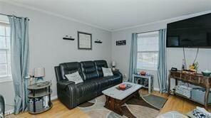 living room with hardwood / wood-style flooring and ornamental molding