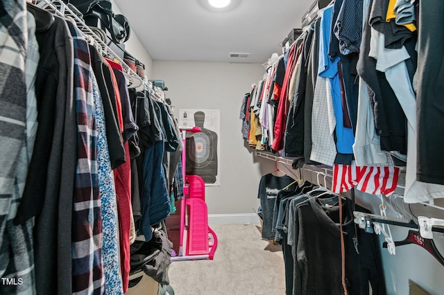 spacious closet with carpet