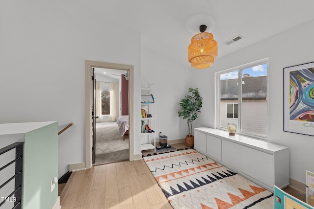 bathroom with wood-type flooring