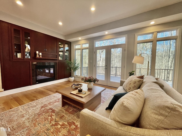 living room with french doors, wood-type flooring, and a wealth of natural light