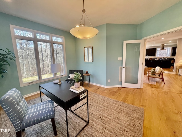 home office featuring hardwood / wood-style flooring