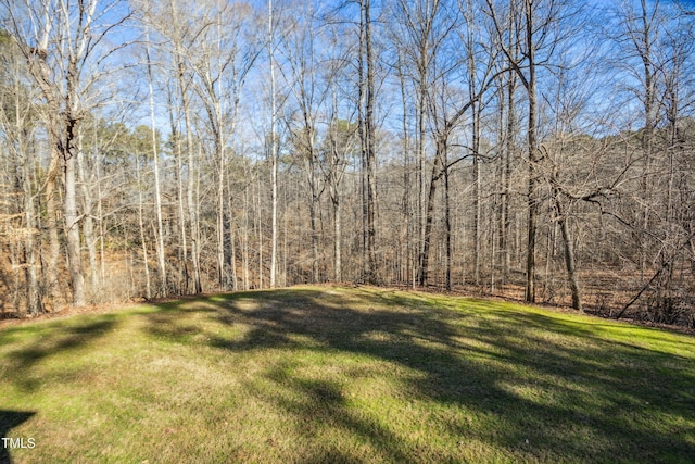 811 Oxbow Crossing Rd, Chapel Hill, NC 27516 - photo 69