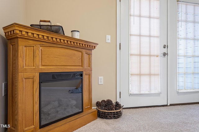 room details with french doors and carpet floors