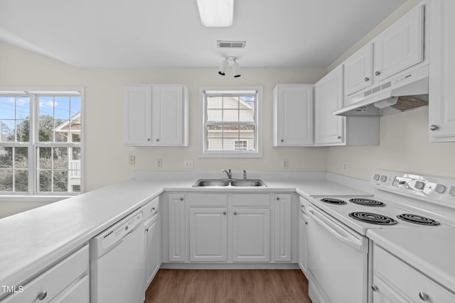 kitchen with white cabinetry, sink, white appliances, and a healthy amount of sunlight