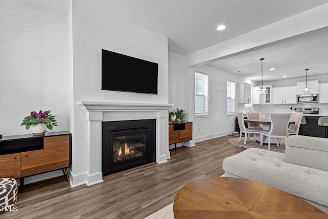 living room featuring wood-type flooring