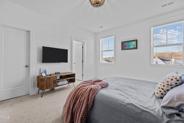 bedroom featuring carpet floors