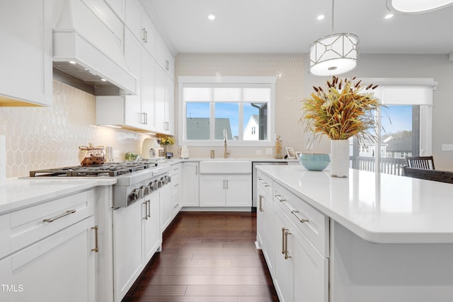 kitchen with custom exhaust hood, white cabinets, sink, and a healthy amount of sunlight