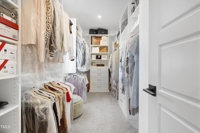 walk in closet with carpet floors