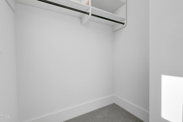 spacious closet with carpet flooring