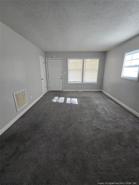 carpeted spare room featuring a healthy amount of sunlight and a textured ceiling