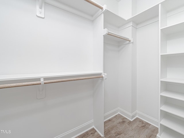 spacious closet with light hardwood / wood-style flooring