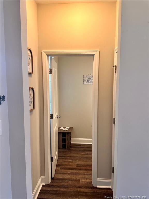 hallway featuring dark hardwood / wood-style flooring