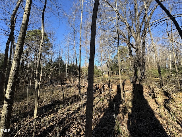 Listing photo 3 for Tbd Elk Lane, Siler City NC 27344