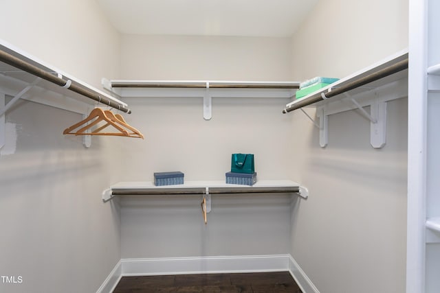 spacious closet with dark wood-type flooring