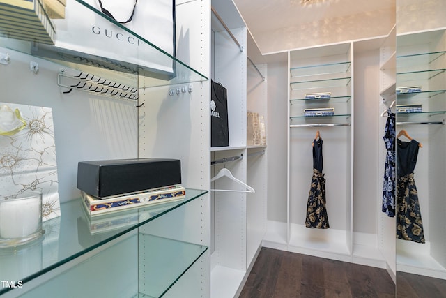 walk in closet featuring wood-type flooring