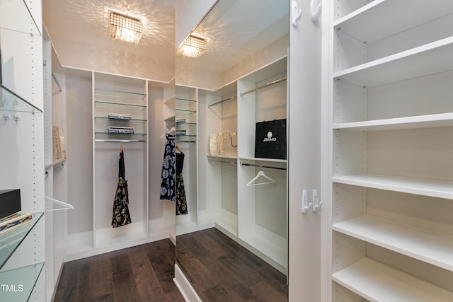 spacious closet with dark wood-type flooring