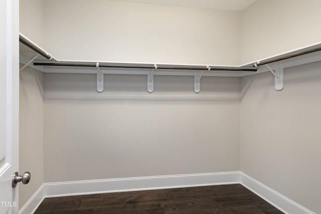 spacious closet with dark hardwood / wood-style floors