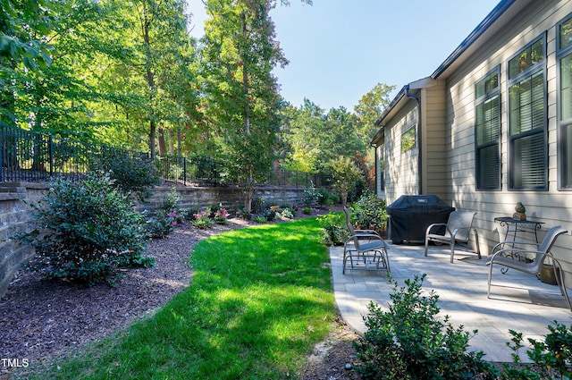 view of yard featuring a patio area