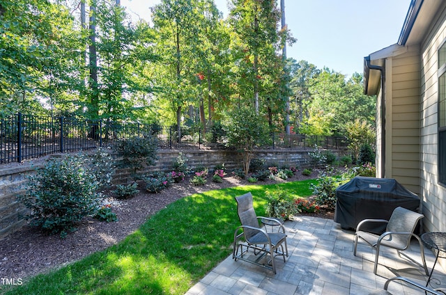 view of yard featuring a patio area