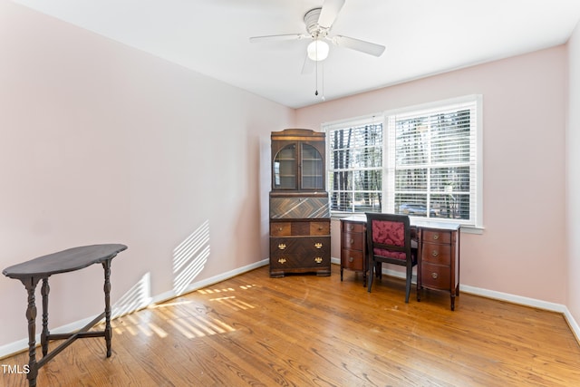 office space featuring hardwood / wood-style floors and ceiling fan